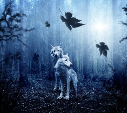 Are You An Alpha or Beta Leader?